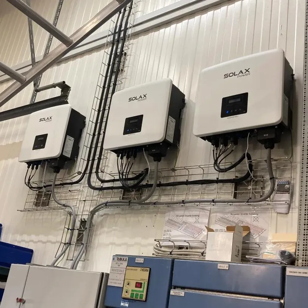 Biến Tần Inverter SolaX 100 kW 3 Pha – X3-FORTH-100K - Ảnh 2